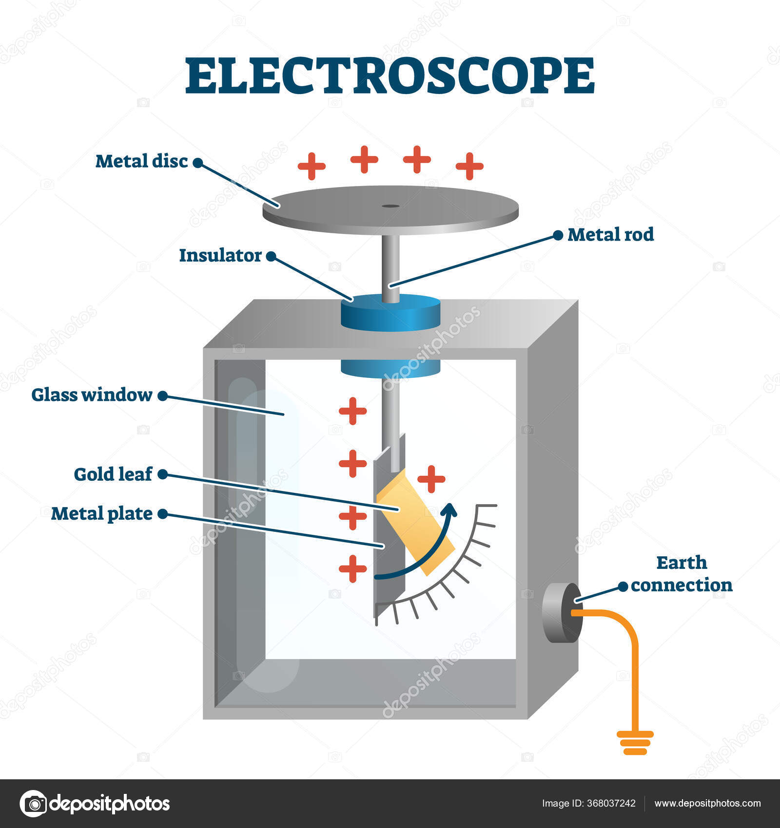 Electroscope Vector Illustration Labeled Electric Charge Measure Instrument Stock Vector Image By C Vectormine 368037242