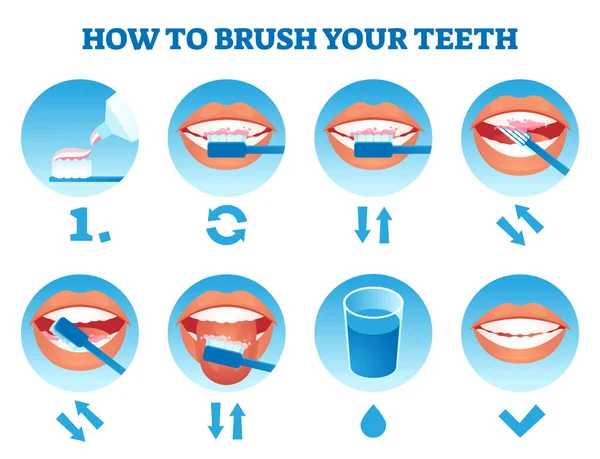 Cómo cepillar los dientes ilustración vectorial. Proceso de atención educativa simple — Archivo Imágenes Vectoriales