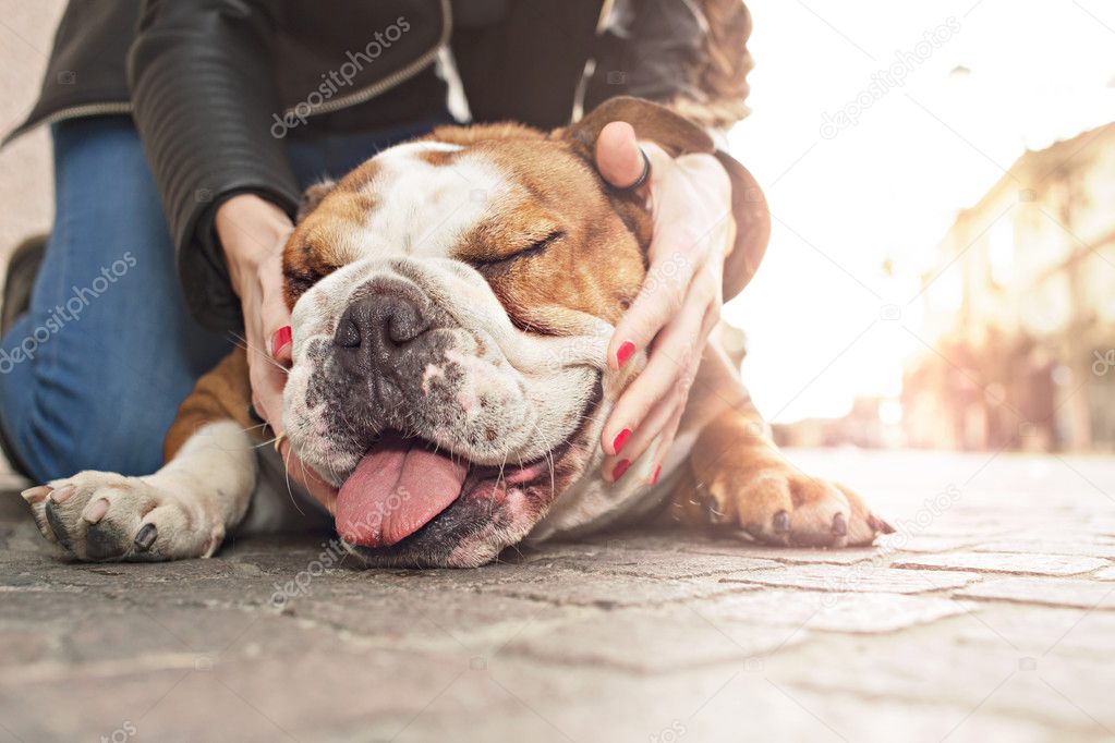 owner gently caressing her dog in an urban place