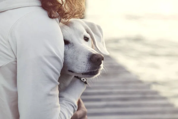 Donna e il suo cane insieme all'aperto — Foto Stock