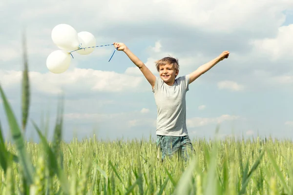 Menino feliz brinca com balões no prado — Fotografia de Stock