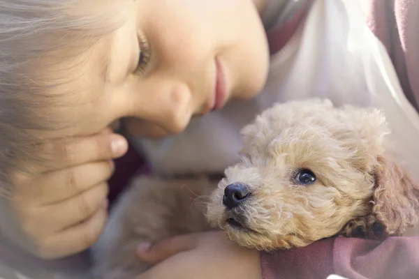 Tatlı bir köpek bir adam ve bir köpek yavrusu arasında büyülü bir an — Stok fotoğraf