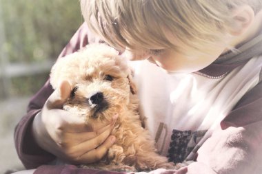 Small boy caresses gently her dog puppy clipart