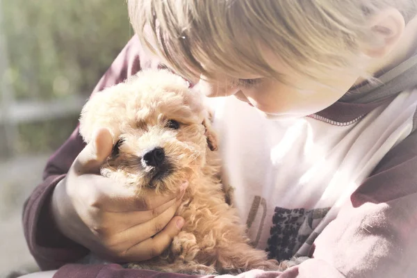 Kisfiú óvatosan ölelés neki kutya kölyök — Stock Fotó