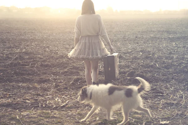 Podróżnik kobieta podróżuje wraz z jej przyjaciel pies — Zdjęcie stockowe