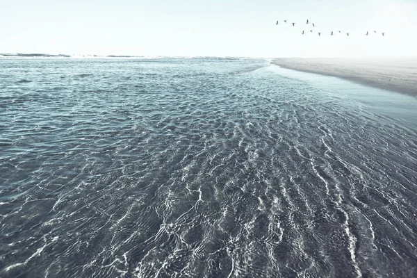 Впечатляющий нетронутый и изолированный пляж — стоковое фото