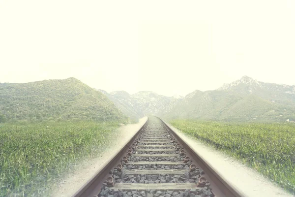 铁路的路轨在 Natur 围拢的地方 — 图库照片