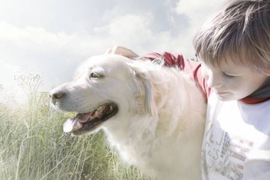 genç çocuk yavaşça köpeğini okşadı