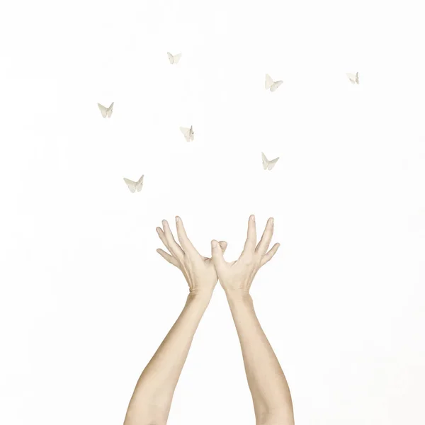 Las Manos Mujer Bailan Armonía Con Algunas Mariposas Origami — Foto de Stock
