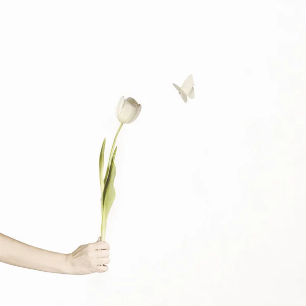 Encuentro Surrealista Entre Tulipán Blanco Una Mariposa Origami — Foto de Stock
