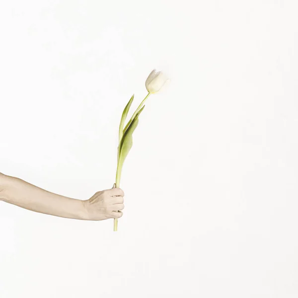 Gesto Romántico Dar Otra Persona Una Flor — Foto de Stock