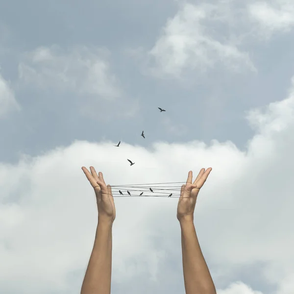 Concepto Libertad Las Aves Que Vuelan Lejos Una Trampa Hecha —  Fotos de Stock