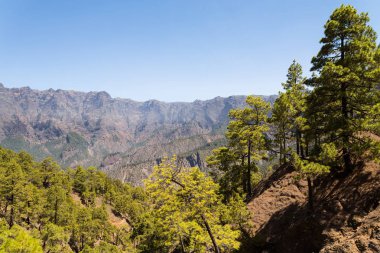 Güzel Caldera de Taburiente Milli Parkı üzerinde Adası, La Palma, Canary Islands.
