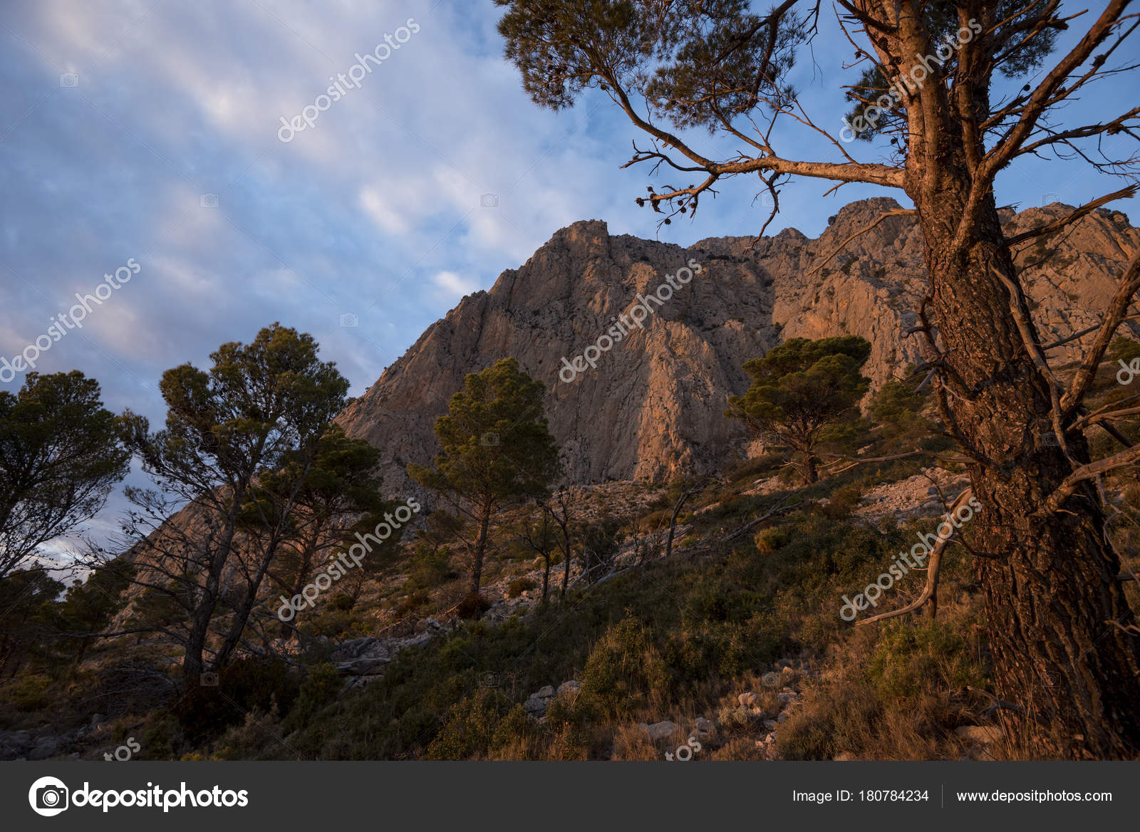 puig campana valencia