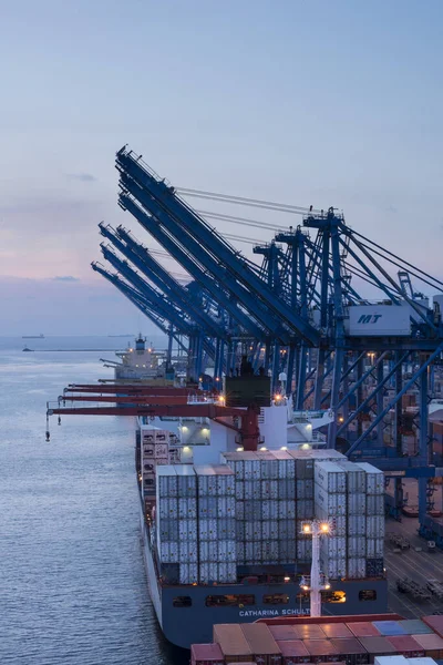 Panama, Orta Amerika 'nın Karayipler bölgesindeki Manzanillo Uluslararası Limanı' nın ana konteynır limanına bir konteynır gemisi yüklendi.