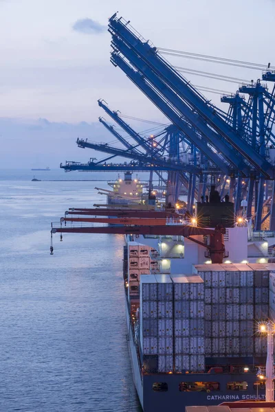 Panama, Orta Amerika 'nın Karayipler bölgesindeki Manzanillo Uluslararası Limanı' nın ana konteynır limanına bir konteynır gemisi yüklendi.