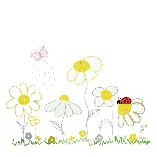 Frühlingsblumen Gänseblümchen Und Dame Vogel Grußkarte Hintergrund — Stockvektor