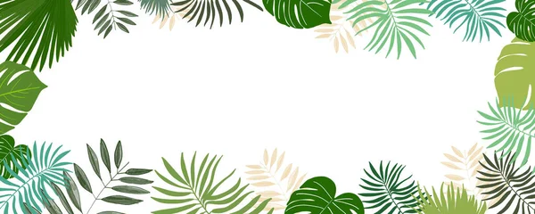 Quadro Com Folhas Tropicais Vetor Ilustração Verão Fundo Banner Design — Vetor de Stock