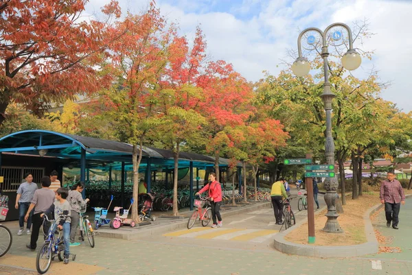 Yeouido Park Seúl Corea del Sur — Foto de Stock