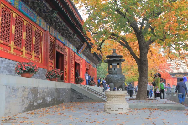 Xiangshan park Beijing China — Stock Photo, Image