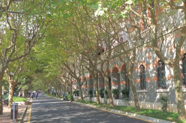Çin Shanghai Jiao Tong Üniversitesi