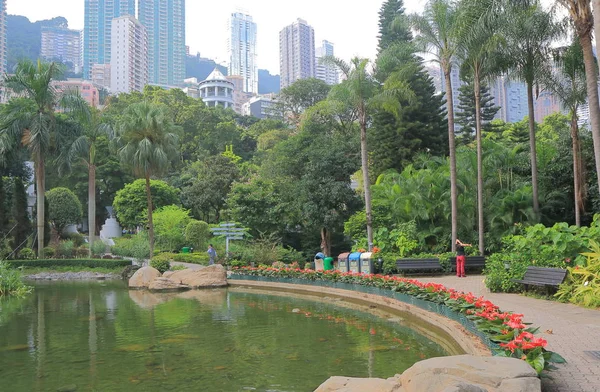 香港セントラルの香港公園など — ストック写真