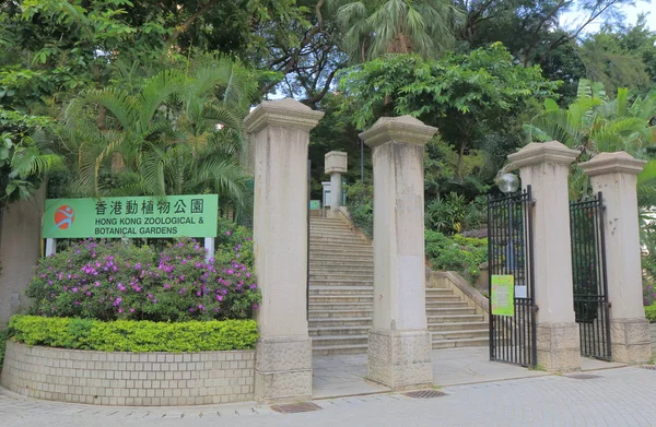 Гонконг Зоологічний і ботанічний сад — стокове фото