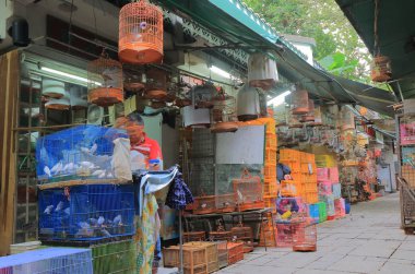 Kuş Bahçe pazarı Hong Kong