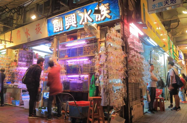 Guldfisk marknaden Mong Kok Hong Kong — Stockfoto