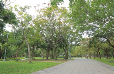 Daan Park Taipei Tayvan