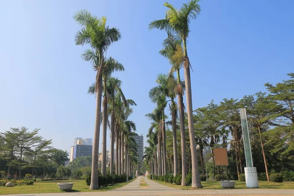 Central park Kaohsiung Taiwan — Stock Photo, Image
