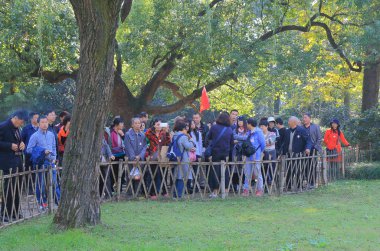 Balık çiçek havuzu Park West lake Hangzhou Çin'ile ilgilenen