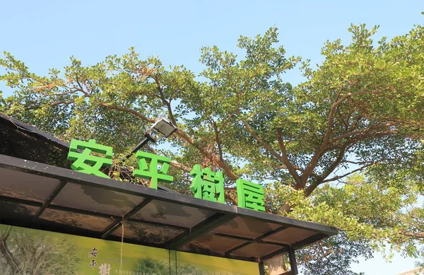 Anping viejo Tait y casa del árbol de la compañía Tainan Taiwán — Foto de Stock