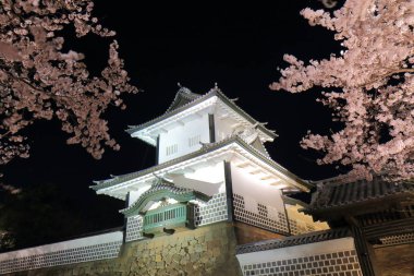 Kiraz çiçeği ve Kanazawa Japonya'da Kanazawa Kalesi