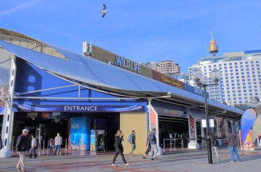 Darling Harbour Sydney cityscape Avustralya