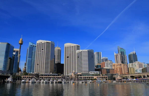 Liebling harbour sydney stadtbild australien — Stockfoto