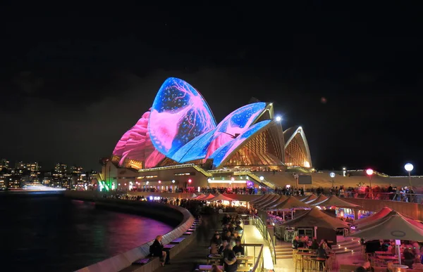 Opera house illuminazione notturna Sydney Australia — Foto Stock