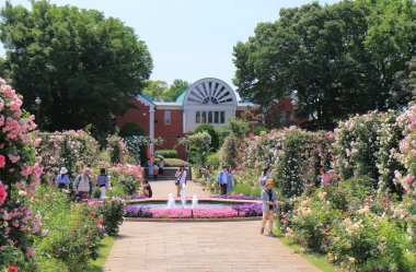 Minatonomieruoka Park Yokohama Japonya