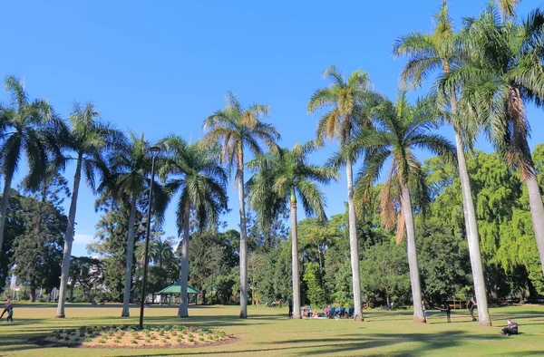 Jardins botaniques Brisbane Australie — Photo