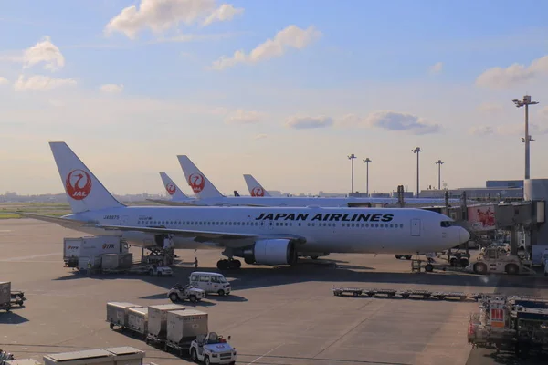 Japan Airline Jal — Photo