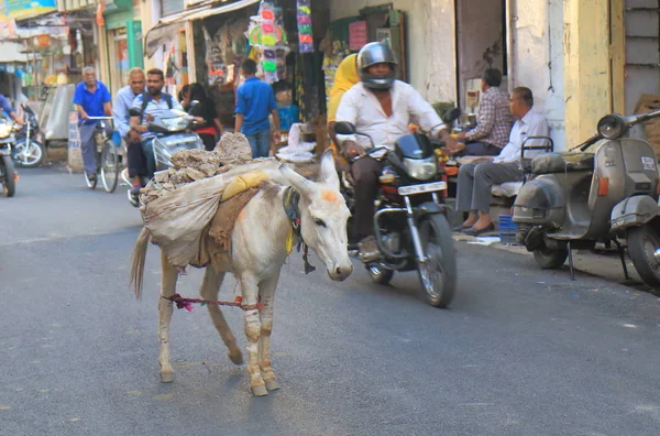 Udaipur India October 2017 Donkey Carries Heavy Load Udaipur — Stock Photo, Image
