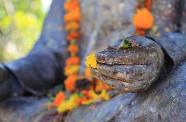 Buda heykeli ve Nepal Pokhara sunan çiçek