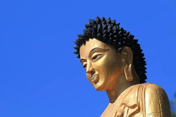 Kedareshwor Mahadev Buddhist Temple Buddha Statue Pokhara Nepal — Stock Photo, Image