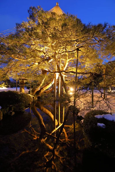 Tradycyjny Kenrokuen Japoński Ogród Zimą Snowscape Kanazawa Japonia — Zdjęcie stockowe