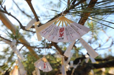 Kyoto Japonya - 04 Mayıs 2018: omikujin Chionji Tapınağı Kyoto Japonya ağaçlarda astı. Omikujin rasgele fala şeritler Shinto türbelerin ve Budist tapınakları Japonya kağıt üzerinde yazılı olduğunu.