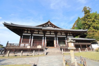 Todaiji tapınağı Hokkedo Nara Japonya