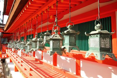 Nara Japonya - 10 Kasım 2019 Kasuga Taisha Tapınağı Nara Parkı Japonya