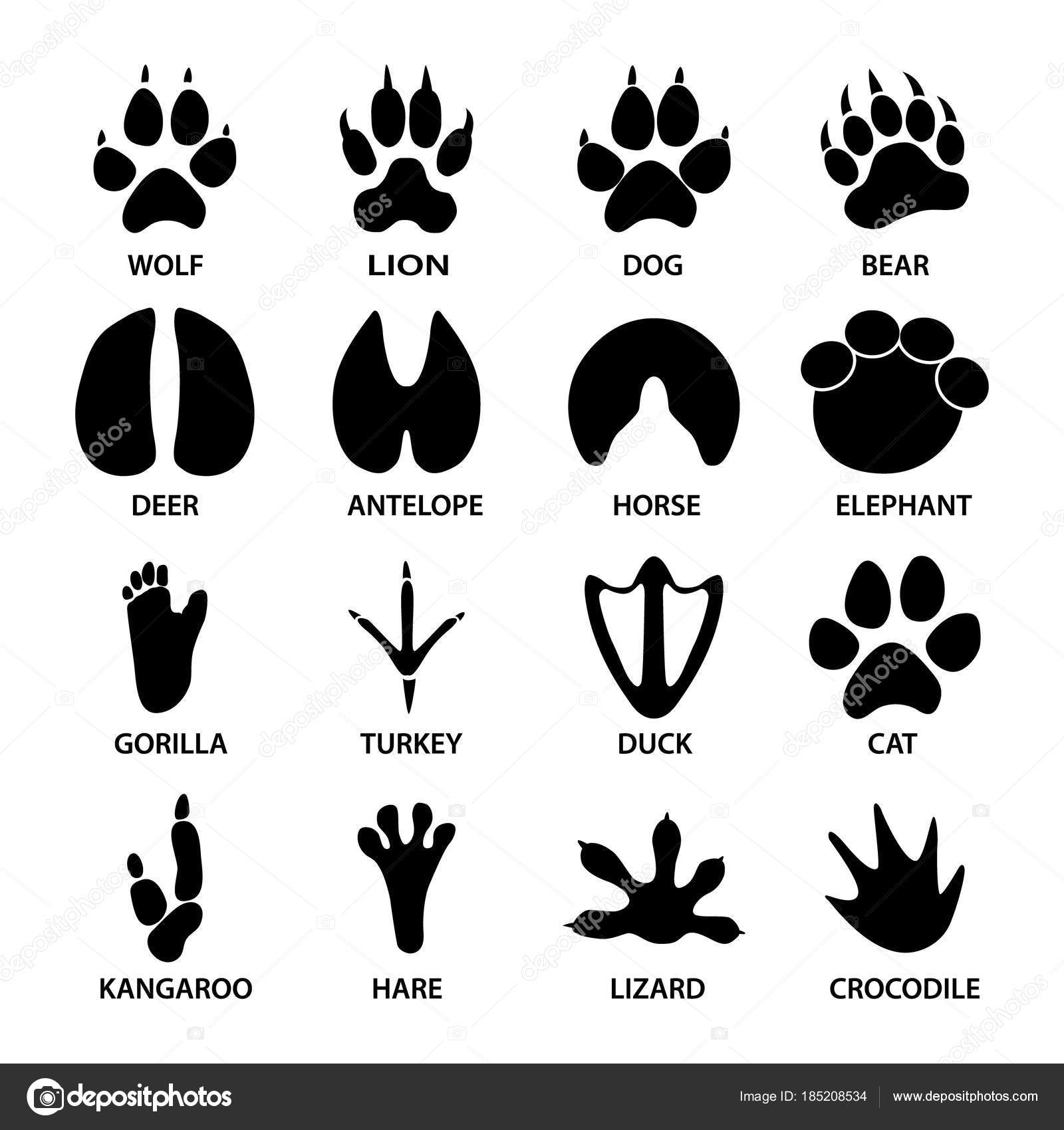 動物の黒い足跡形。ゾウ、ヒョウ、爬虫類、タイガー — ストックベクター