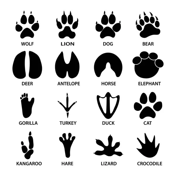 Black footprints shapes of animals. Elephant, leopard, reptile and tiger. — Stock Vector