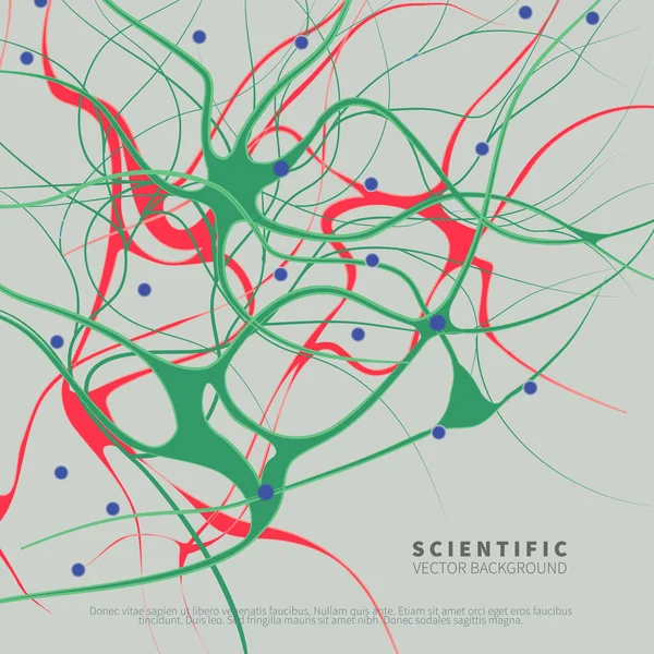 Model van neurale systeem — Stockvector